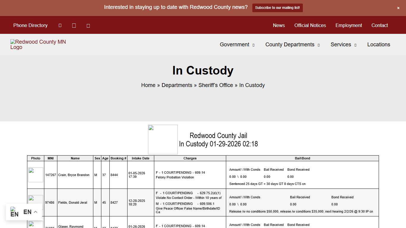 In Custody - Redwood County, MN